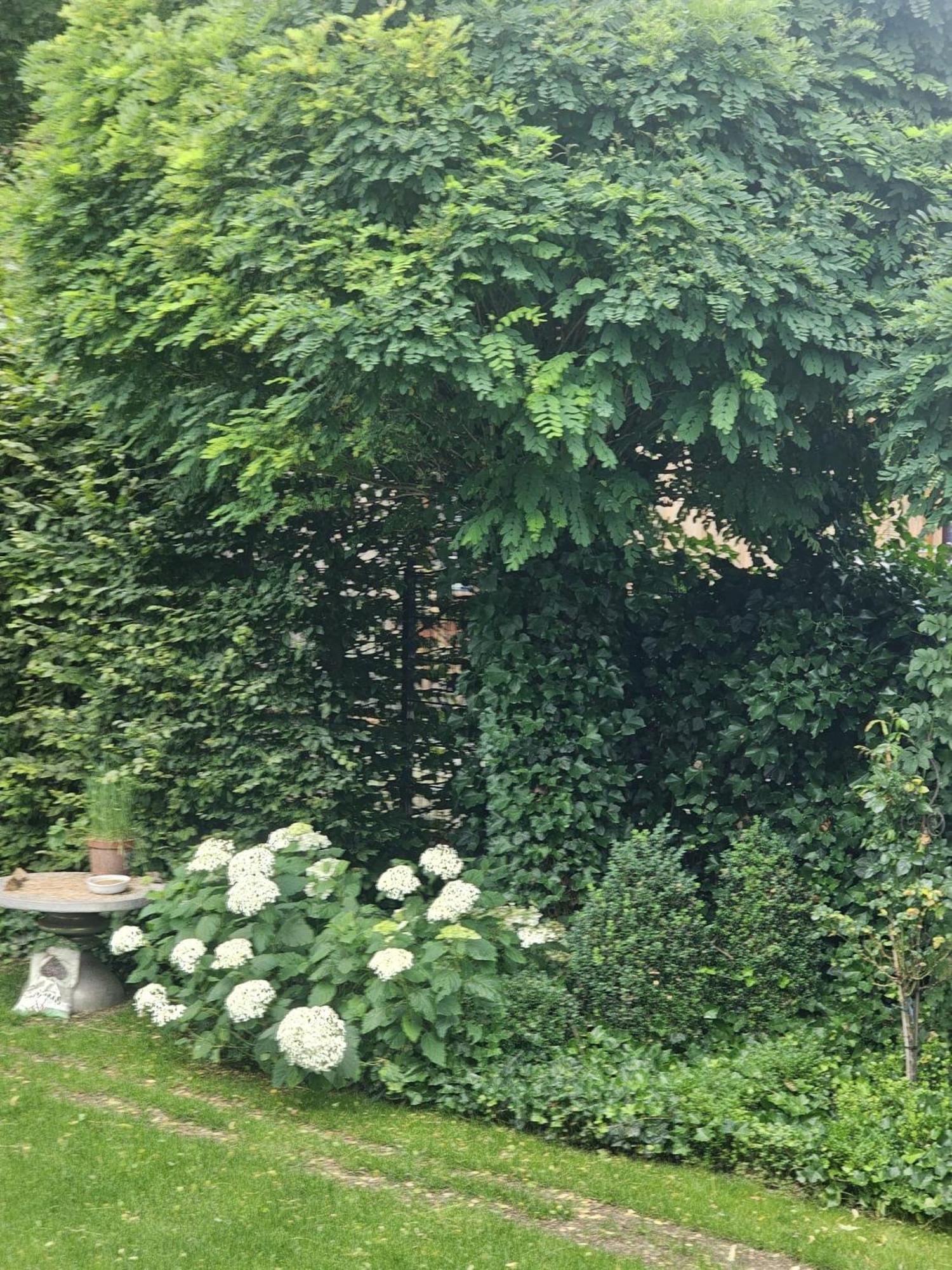 Gemuetliche Wohnung Mit Sauna Neumarkt in der Oberpfalz Eksteriør bilde